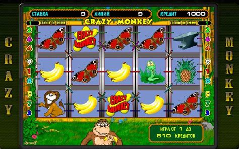 crazy monkey в онлайн казино